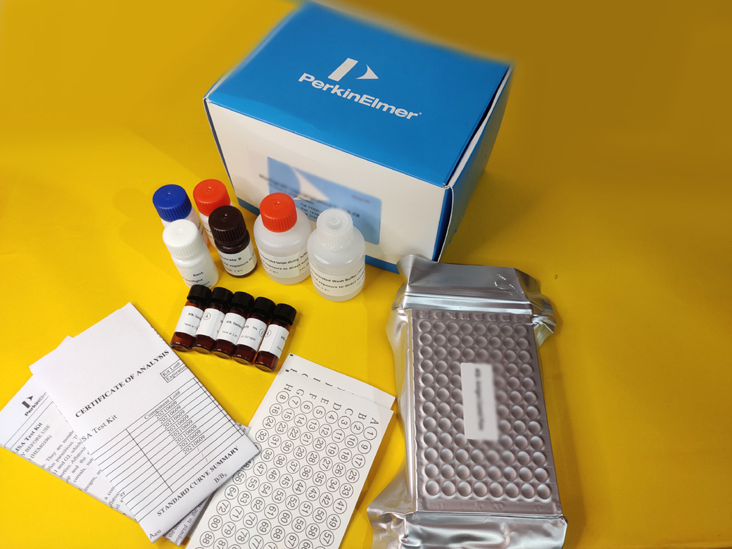 Choline Test Kit