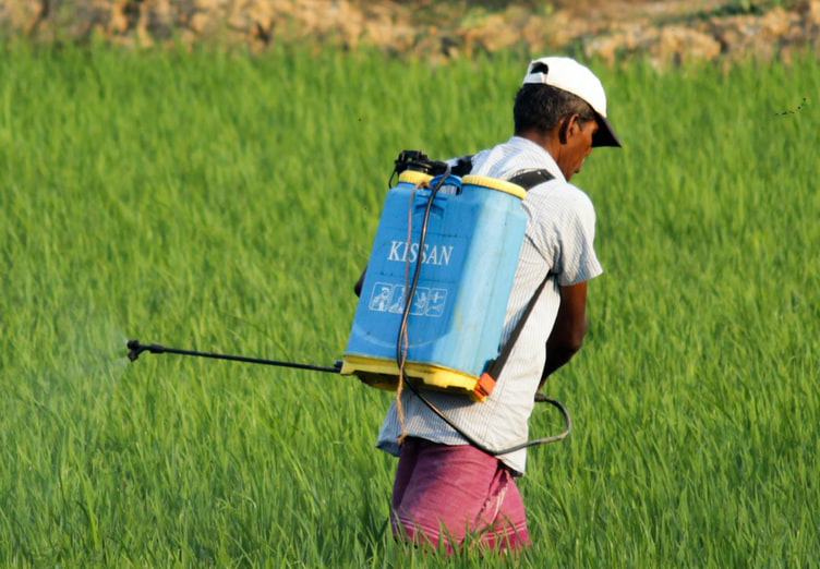 Pesticide Residues